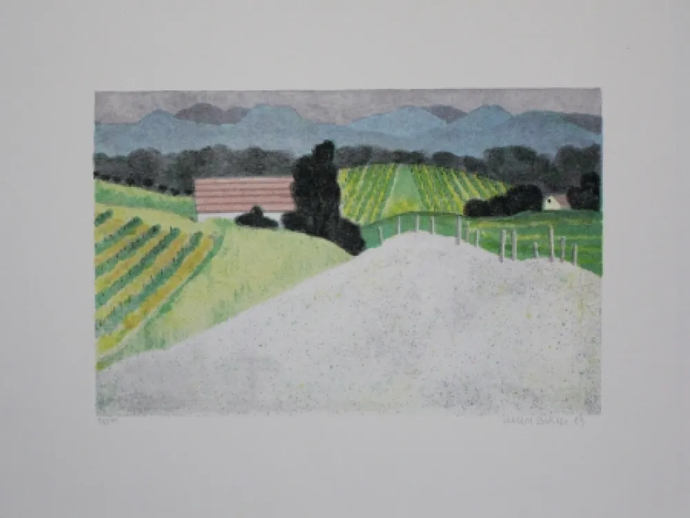 Lithograph Breiter - Landschaft / Landscape