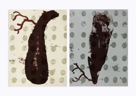 Lithograph Brown - Two cells diptyque