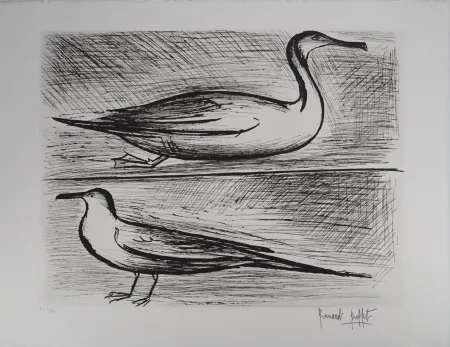 Etching Buffet - Bretagne, Oiseaux de mer,