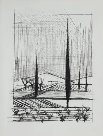 Drypoint Buffet - Naples, ca