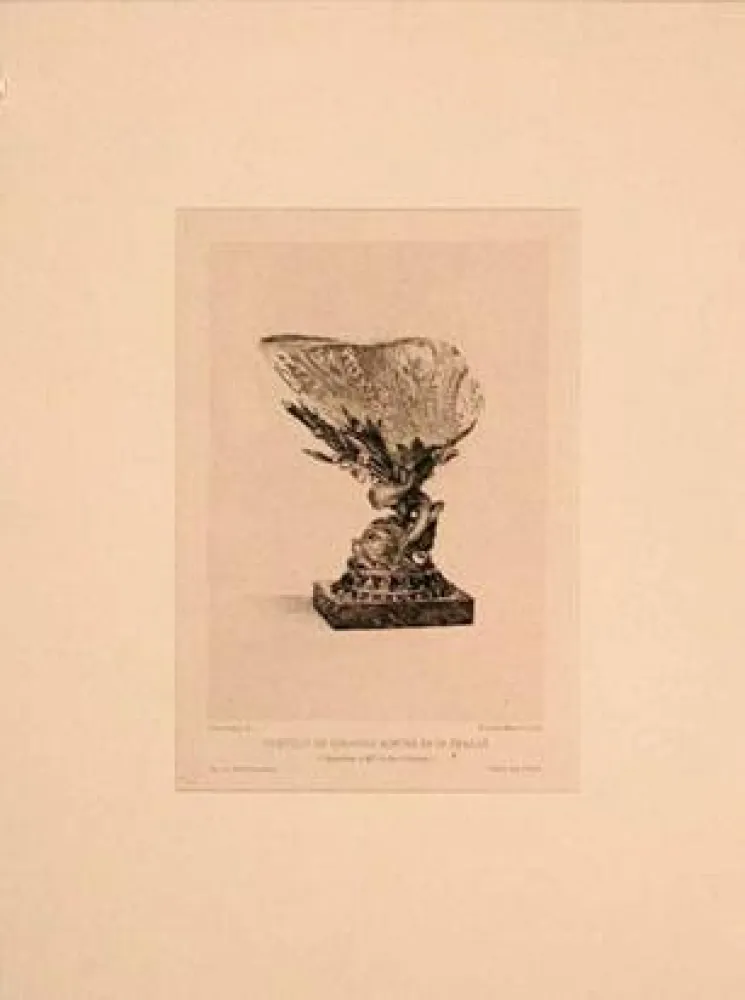 Etching Buhot - Coquille de girasole