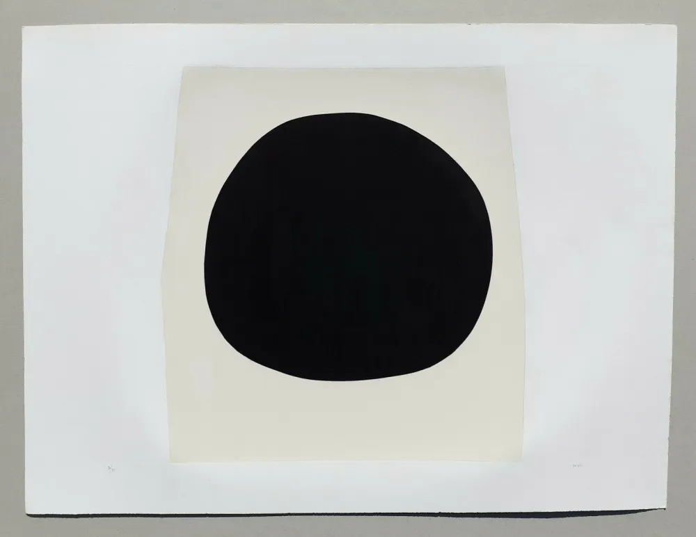 Lithograph Burri - Bianchi e neri I - Tavola F