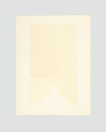 Lithograph Burri - Bianchi e neri II-A