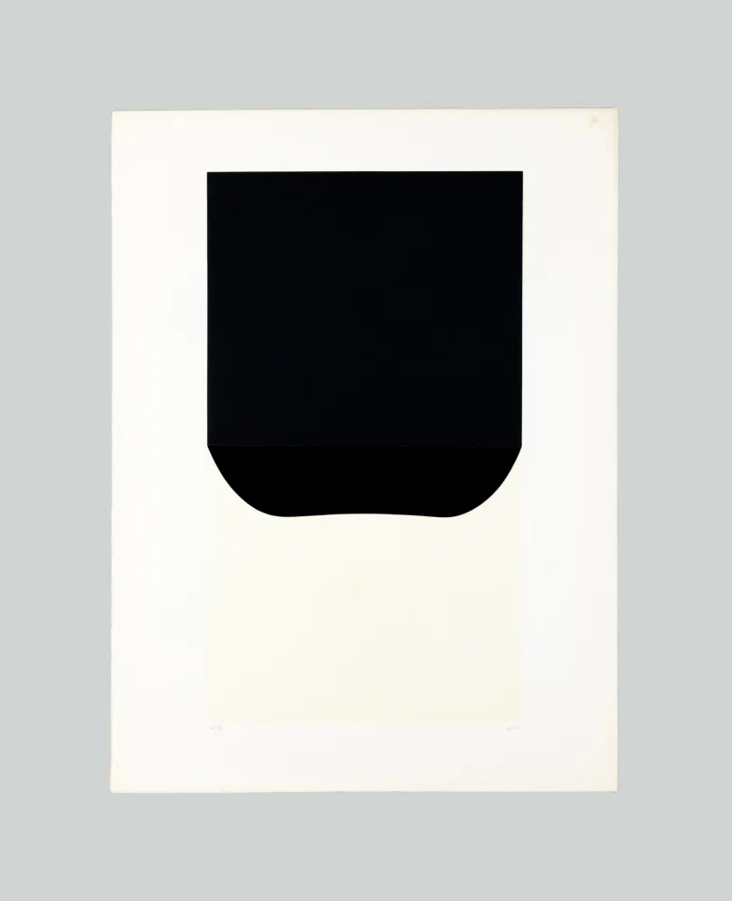 Lithograph Burri - Bianchi e neri II-D