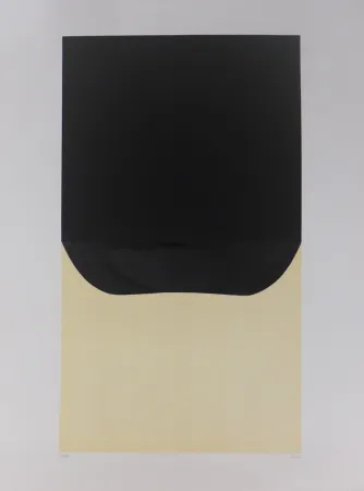 Lithograph Burri - Bianchi e Neri II-D