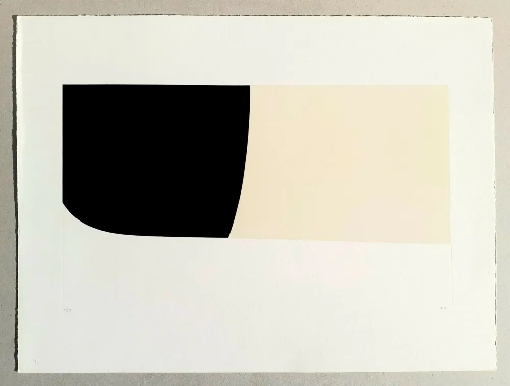 Lithograph Burri - Bianchi e neri II