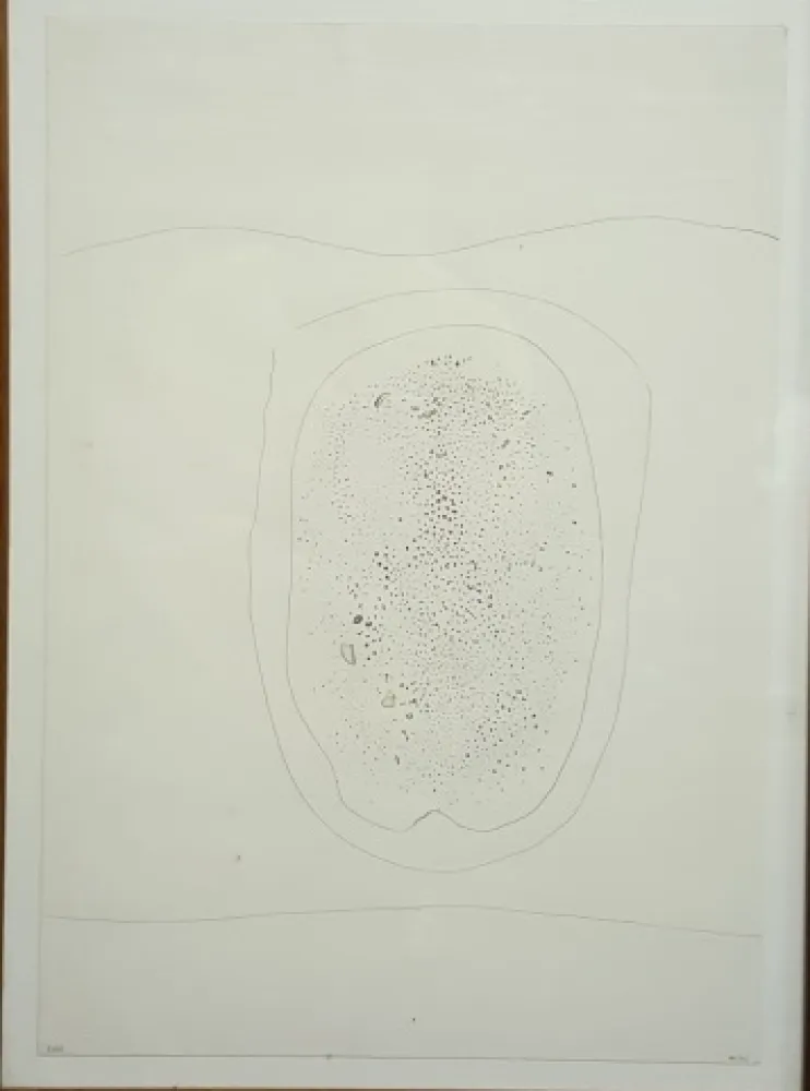 Drypoint Burri - PUNTASECCA 1