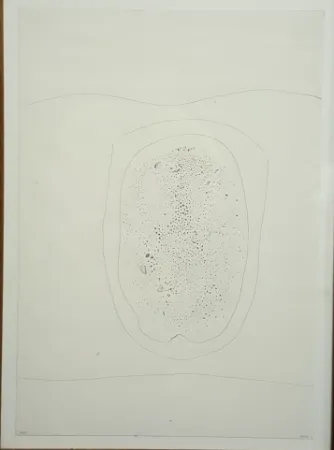 Drypoint Burri - PUNTASECCA 1