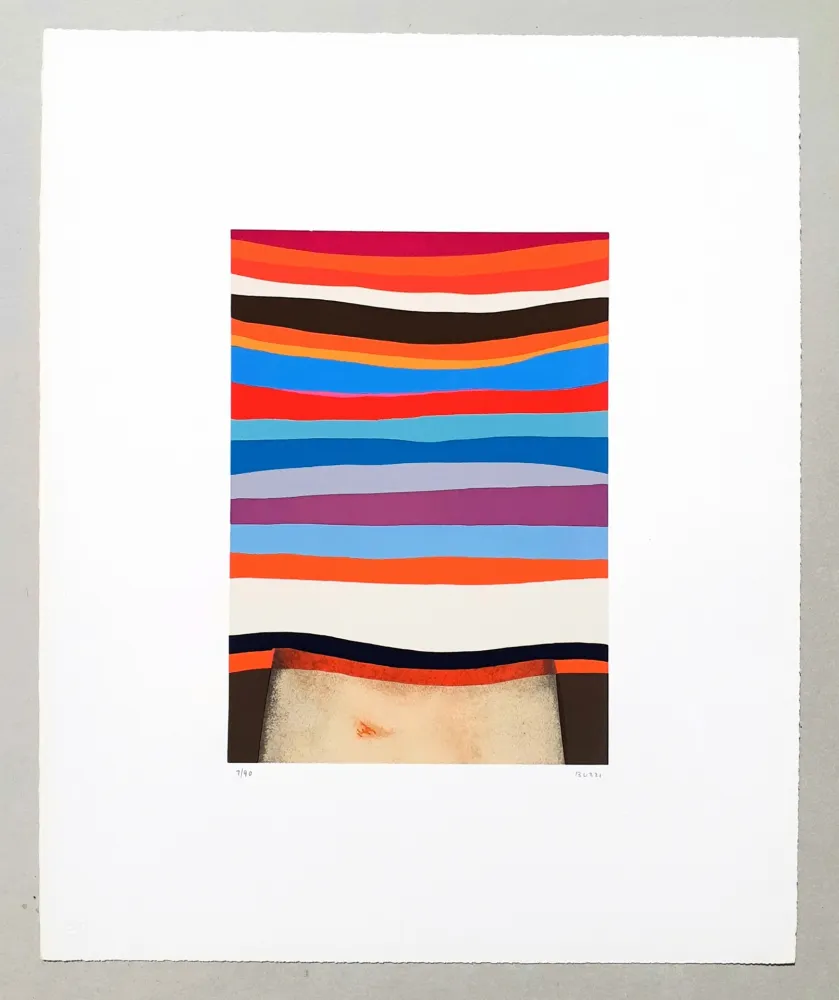 Screenprint Burri - Serigrafia 1-D