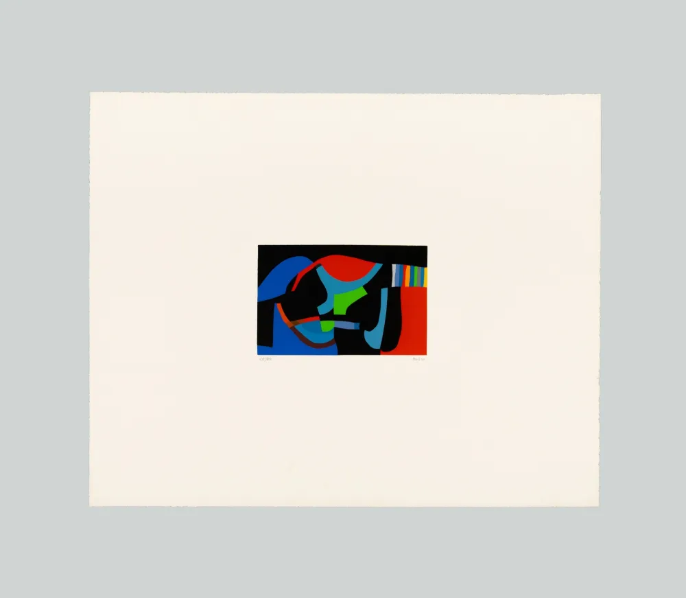 Screenprint Burri - Serigrafia