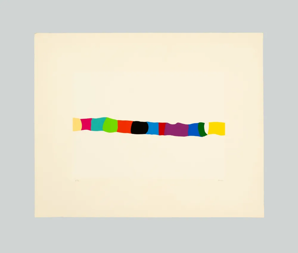 Screenprint Burri - Serigrafia 2-C