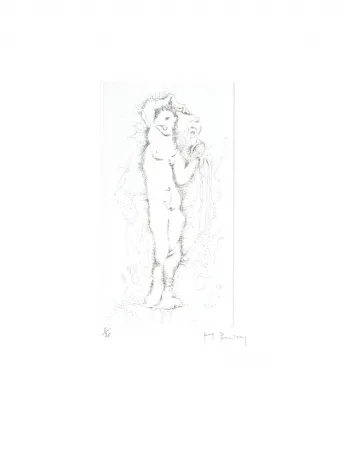 Engraving Bury - Nuée de neige