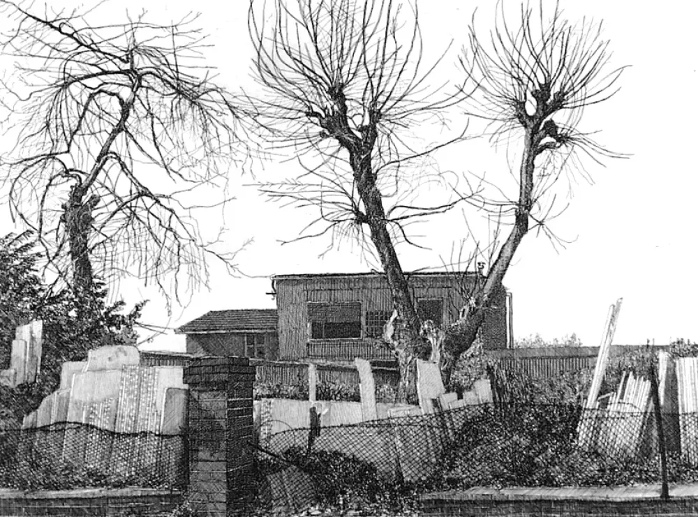 Engraving Cacciarini - Alberi