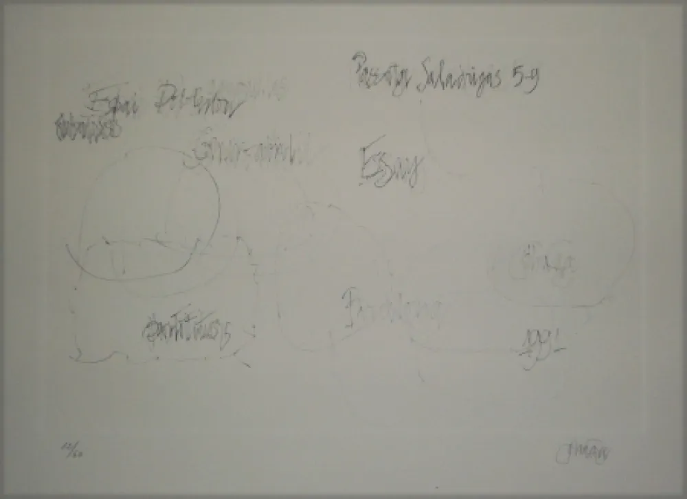 Lithograph Cage - Essays