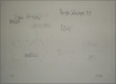 Lithograph Cage - Essays