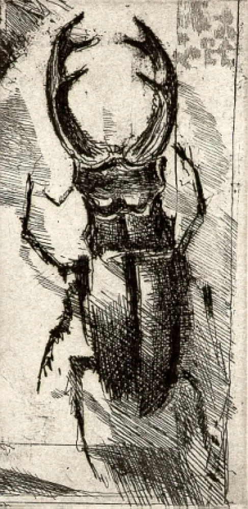 Illustrated Book Calandri - Ballades et Rondeaux du Testament Villon