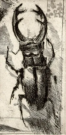 Illustrated Book Calandri - Ballades et Rondeaux du Testament Villon