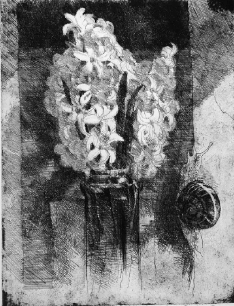 Engraving Calandri - Giacinti