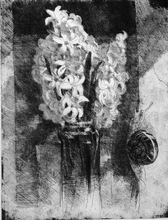 Engraving Calandri - Giacinti