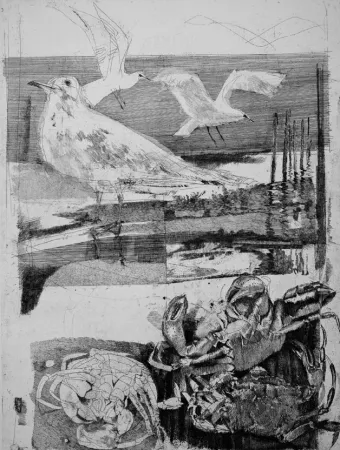 Etching And Aquatint Calandri - Laguna