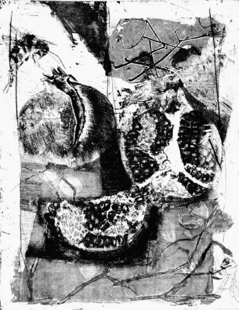 Engraving Calandri - Melograne