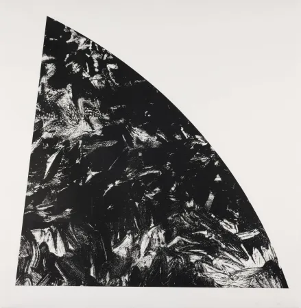 Lithograph Calder - Baie Rouge