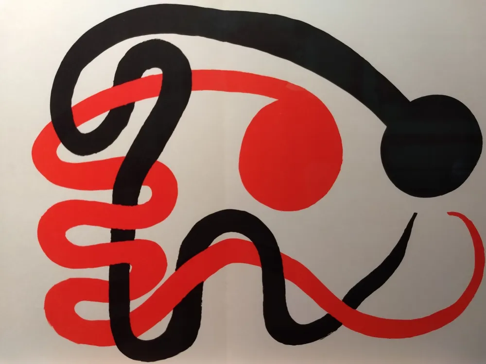 Illustrated Book Calder - DLM 201