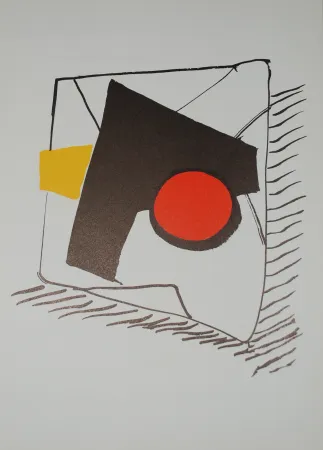 Lithograph Calder - DLM 221