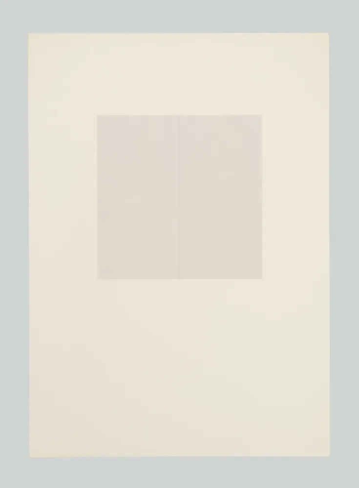 Screenprint Calderara - E poi (Tav. D)