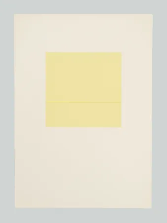 Screenprint Calderara - E poi (Tav. F)