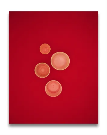 Photography Caldicot - Untitled 109