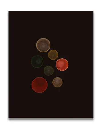 Photography Caldicot - Untitled 110/5