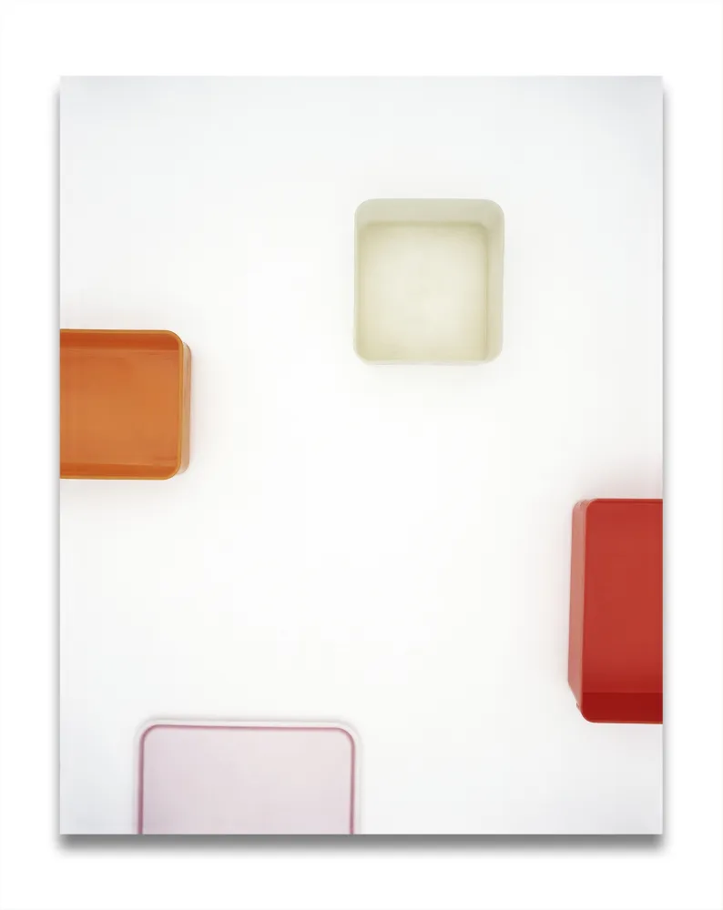 Photography Caldicot - Untitled 111