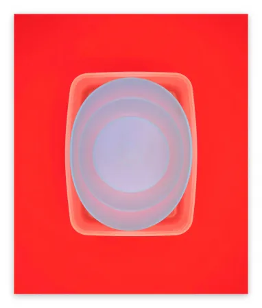 Photography Caldicot - Untitled 153