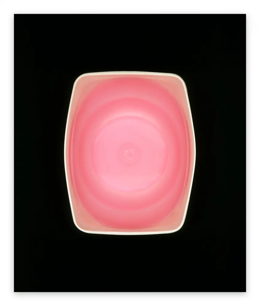 Photography Caldicot - Untitled 156