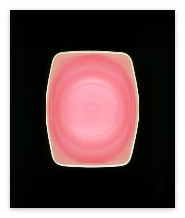 Photography Caldicot - Untitled 156