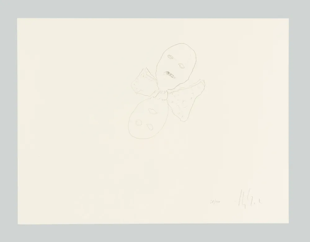 Lithograph Calzolari - Senza titolo