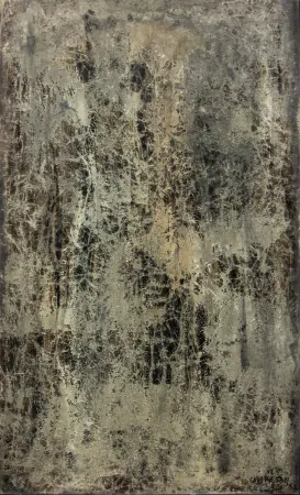 No Technical Campesan - BASSAMAREA