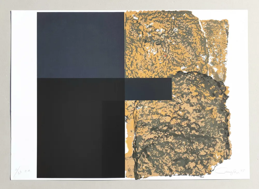 Screenprint Canogar - Composizione