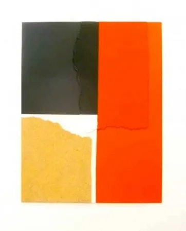 Screenprint Canogar - Crisol