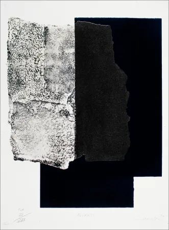 Screenprint Canogar - Estrato