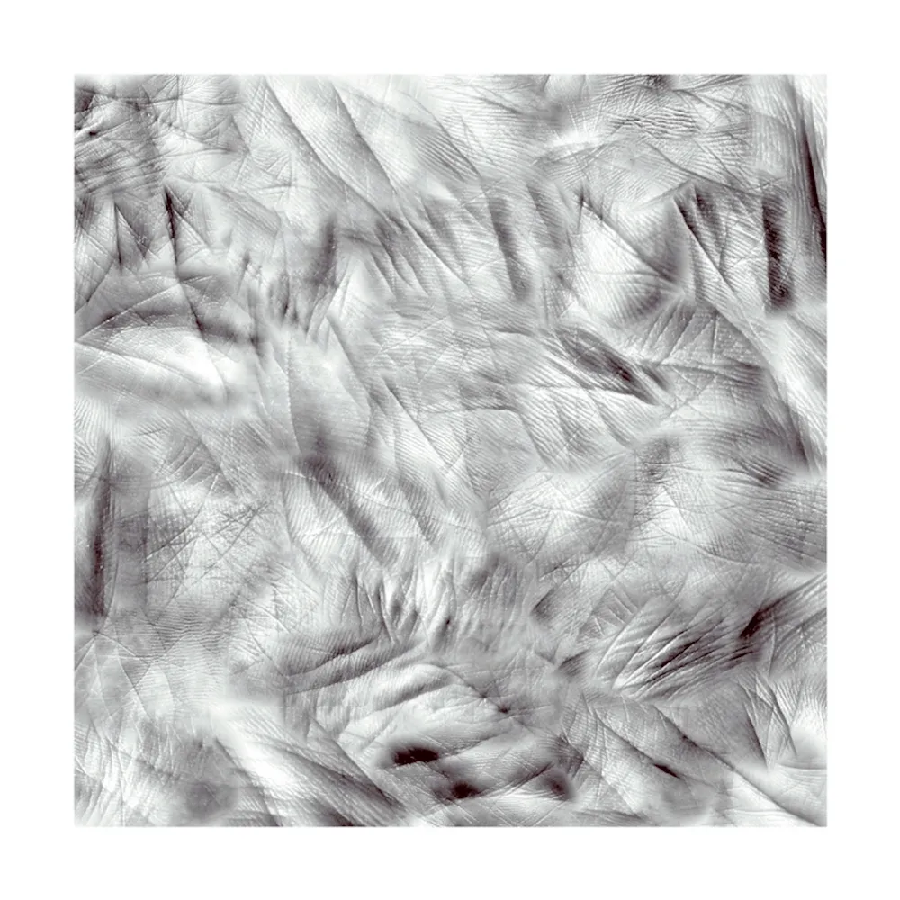 Photography Canogar - Life Lines