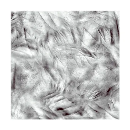 Photography Canogar - Life Lines