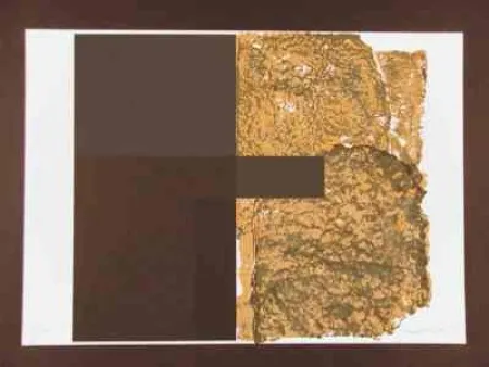 Screenprint Canogar - Sans titre