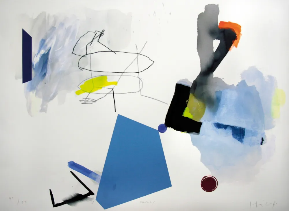 Screenprint Capa - Azules