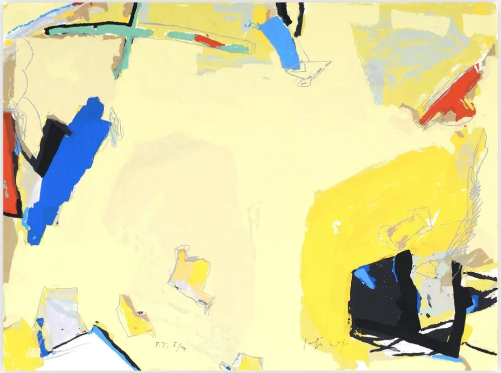 Screenprint Capa - Espacio Amarillo