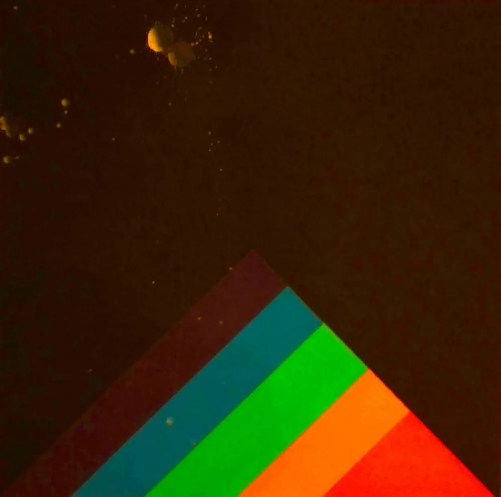 Screenprint Carmi - SENZA TITOLO