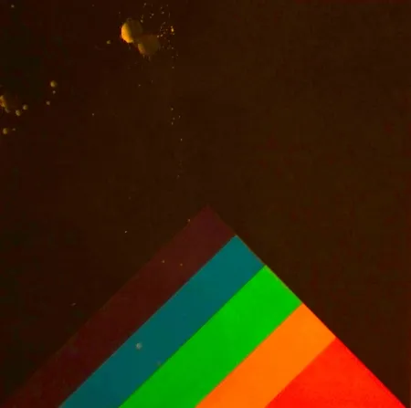 Screenprint Carmi - SENZA TITOLO