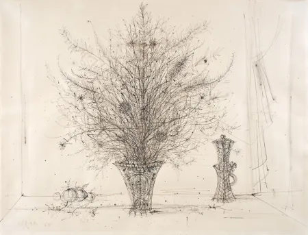 No Technical Carzou - 