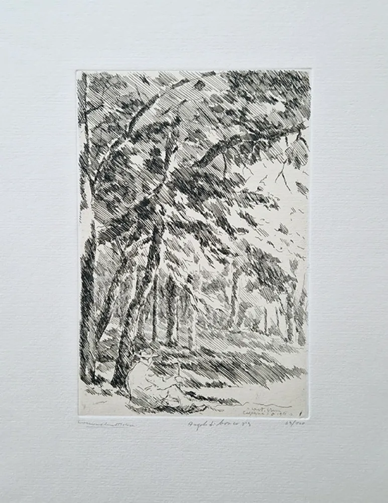 Engraving Castellani - Angolo di bosco